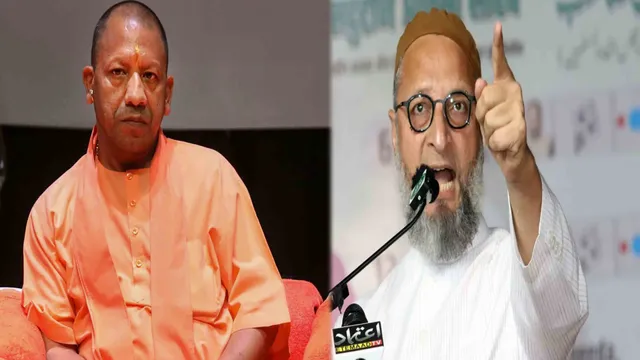 yogiowaisi