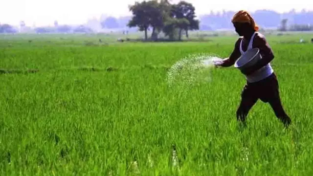 farmer