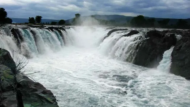 hokenakkal