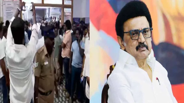 stampedemkstalin
