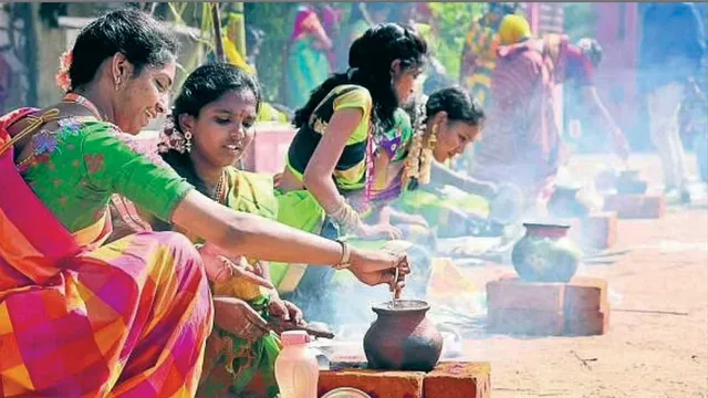 pongal