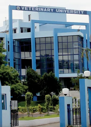veternaryuniversity