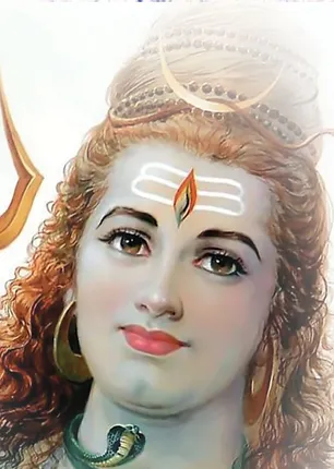 /idhalgal/om/numerical-results-june
