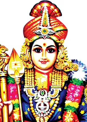 /idhalgal/balajothidam/do-you-have-government-job-private-job