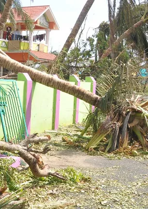 /idhalgal/eniya-utayam/indifferent-storm-destroy-tamil-nadu