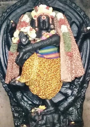 /idhalgal/om/natarajar-solve-kidney-disease