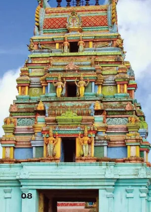 /idhalgal/om/summer-shortening-solution