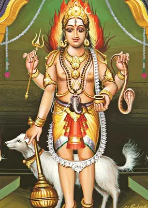 /idhalgal/balajothidam/what-prison-environment