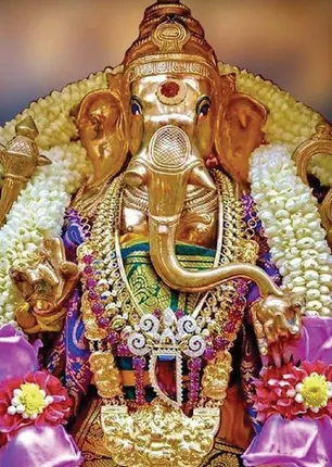 /idhalgal/balajothidam/weeks-zodiac-1-12-2019-7-12-2019