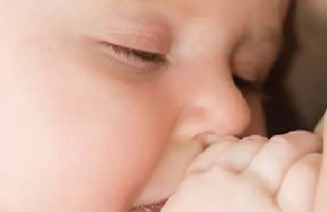 milk