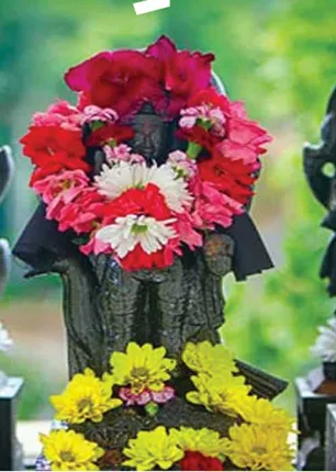 /idhalgal/balajothidam/navagraha-remedies-will-cure-marital-well-being-by-resolving-generational