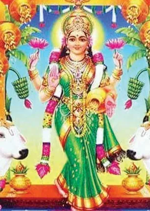 /idhalgal/balajothidam/native-property-beast-golden-way-coast-vaibhav-astrologer-re-shriram