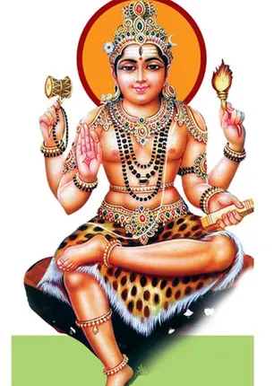 /idhalgal/balajothidam/stars-pole-nadi