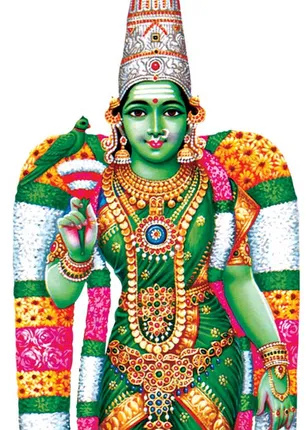 /idhalgal/om/worship-nava-devi-who-gives-wealth-and-well-being-prasanna-astrologer-i-anandi