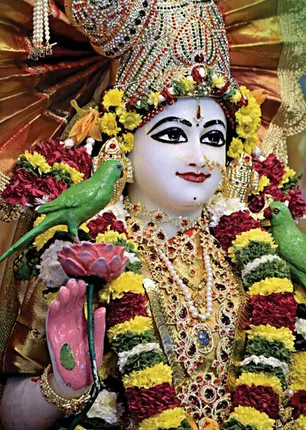 /idhalgal/balajothidam/beauty-ka-gandhi-murugeshwar