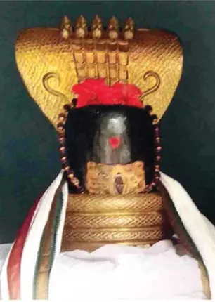 /idhalgal/om/awesome-korakai-adisivan-sp-sekar