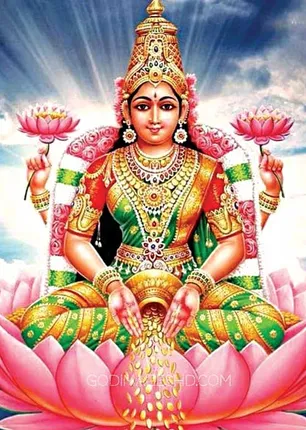 /idhalgal/balajothidam/fairy-astrology-arr-sudarshan