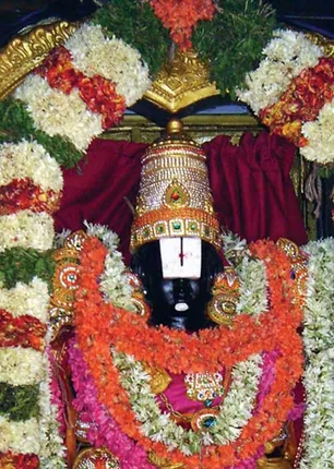 /idhalgal/balajothidam/ekadasi-fasts-give-rise-arutachemmal-arun-radhakrishnan