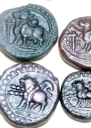 coins