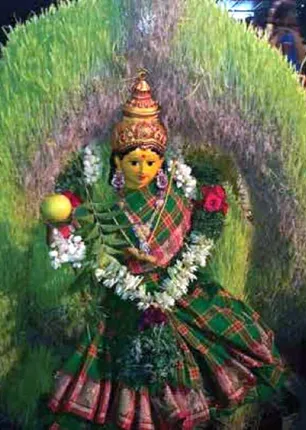 /idhalgal/balajothidam/herbal-secret-siddhartha-kills-72-types-viruses