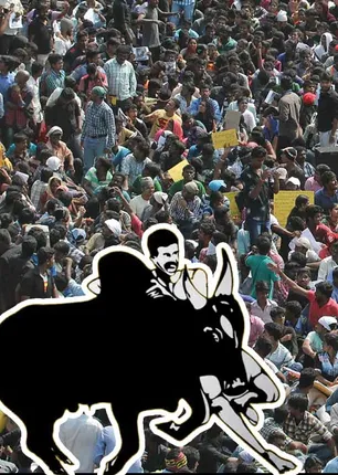 jallikattu