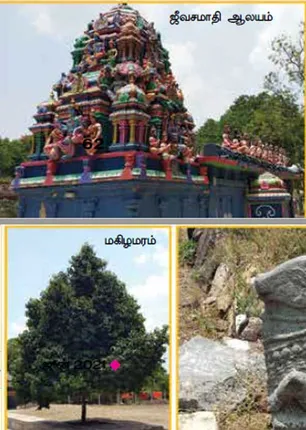 /idhalgal/om/anukunatha-mamunivar-showing-light-form
