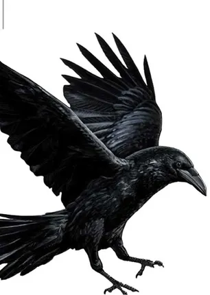 /idhalgal/eniya-utayam/crow-urum-tamil-sura