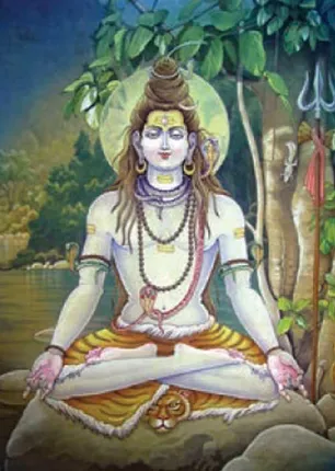 /idhalgal/balajothidam/lifeline-solution