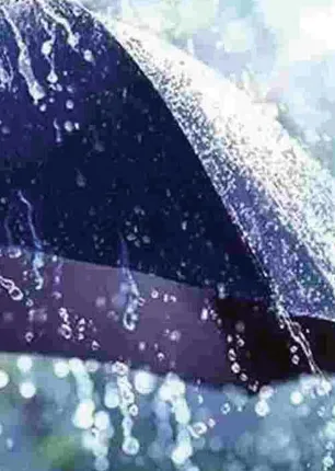 /idhalgal/balajothidam/lets-know-next-years-rain-now