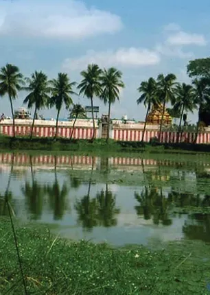 /idhalgal/om/velukudi-rudrakodeeswarar-who-gives-benefit-crores-rupees-kaovaai-araumaukama