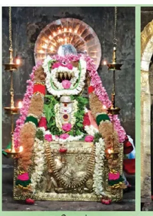 /idhalgal/om/most-glorious-doctor-mahesar-palangamoor-mo-ganesh