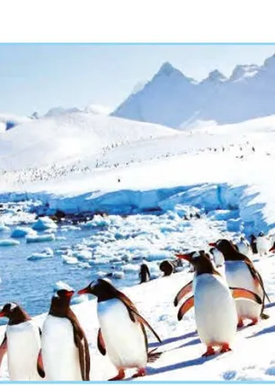 /idhalgal/general-knowledge/international-antarctica-treaty