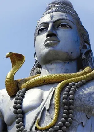 /idhalgal/om/may-zodiac-benefits-cs-naanamauratatai