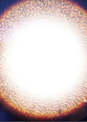 ce