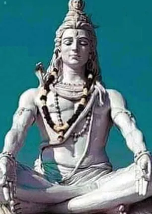 /idhalgal/balajothidam/ketu-among-12-sins-virgo-lagna