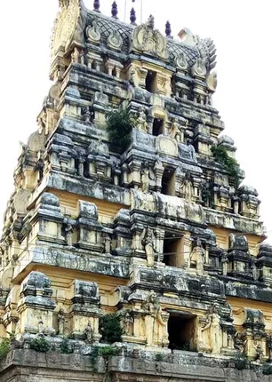 /idhalgal/om/mangalore-kalatheeswarar-removes-rahu-ketu-dosha-sp-shekhar