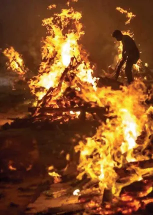 /idhalgal/eniya-utayam/sandalwood-decay-madhavikkuttitamhil-sura