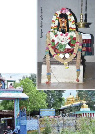 /idhalgal/om/krishna-brahma-mukeshwar-who-performs-miracles-vijaya-kannan