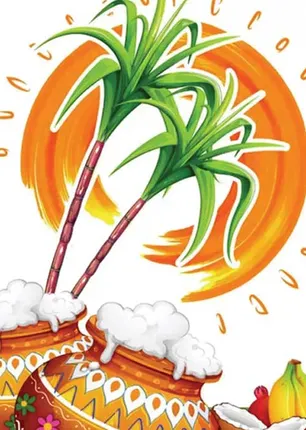 /idhalgal/balajothidam/best-time-celebrate-pongal