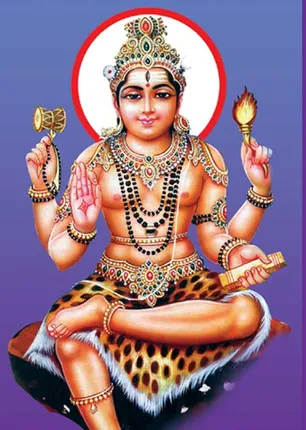 /idhalgal/balajothidam/guru-12-sins-makara-lagna