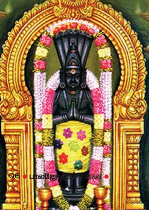/idhalgal/balajothidam/ketu-and-moksha-prasanna-astrologer-i-anandhi