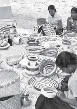 /idhalgal/general-knowledge/emergency-loan-guarantee-scheme