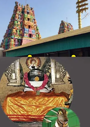 /idhalgal/balajothidam/healing-temple-9-vishu-iyer