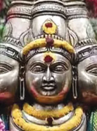 /idhalgal/balajothidam/sewvarali-flower-remedy-solve-debt-problem-b-balajiganesh