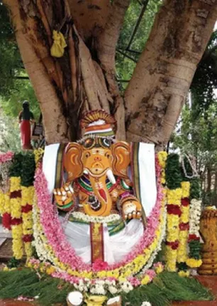 /idhalgal/balajothidam/govt-leaf-deepa-worship-gives-life-kubera-b-balajiganesh