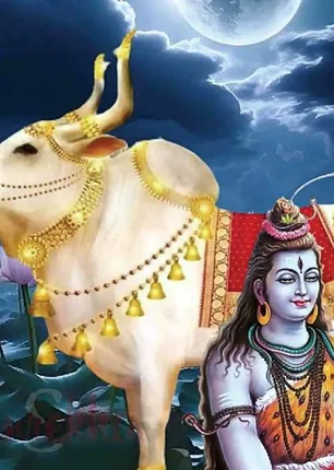 /idhalgal/balajothidam/week-rasi-12-5-2024-18-5-2024