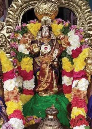 /idhalgal/balajothidam/remedies-remove-janma-nakshatra-dosha-all-27-nakshatras-prasanna-astrologer-i