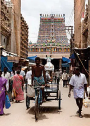 /idhalgal/balajothidam/wealth-and-business-destroyed-by-dosha-house