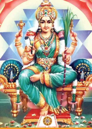 /idhalgal/balajothidam/she-came-street-living-without-fate-chithardasan-sunderji-jeevanadi