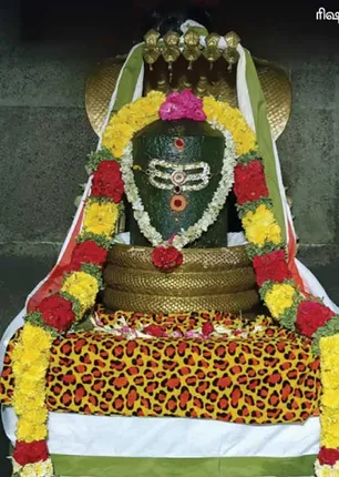 /idhalgal/om/miracle-blessed-paddy-fields-mo-ganesh